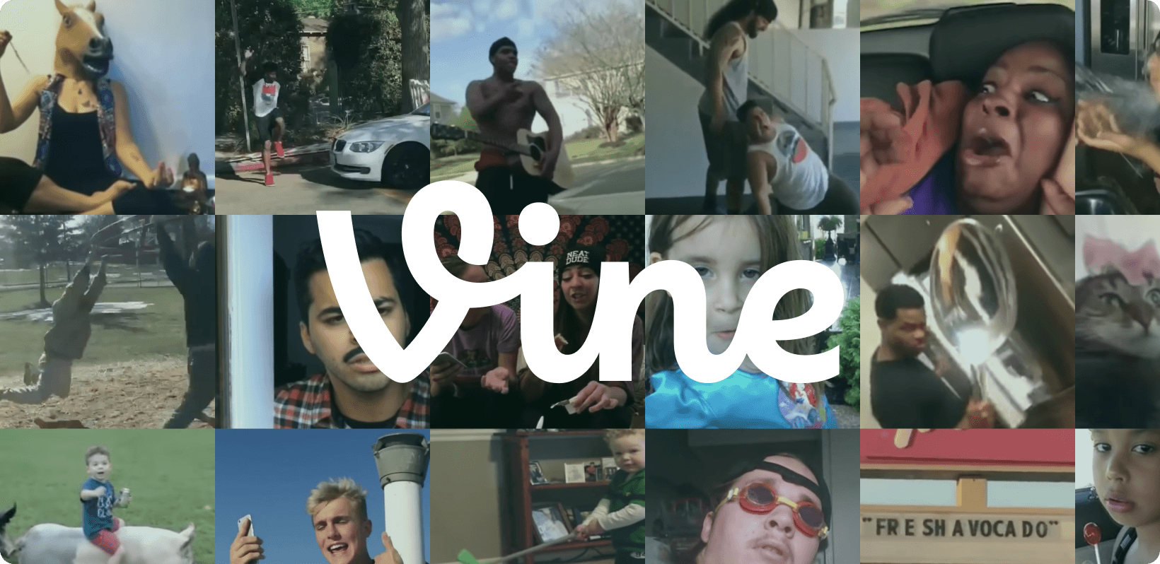 Vine Hero