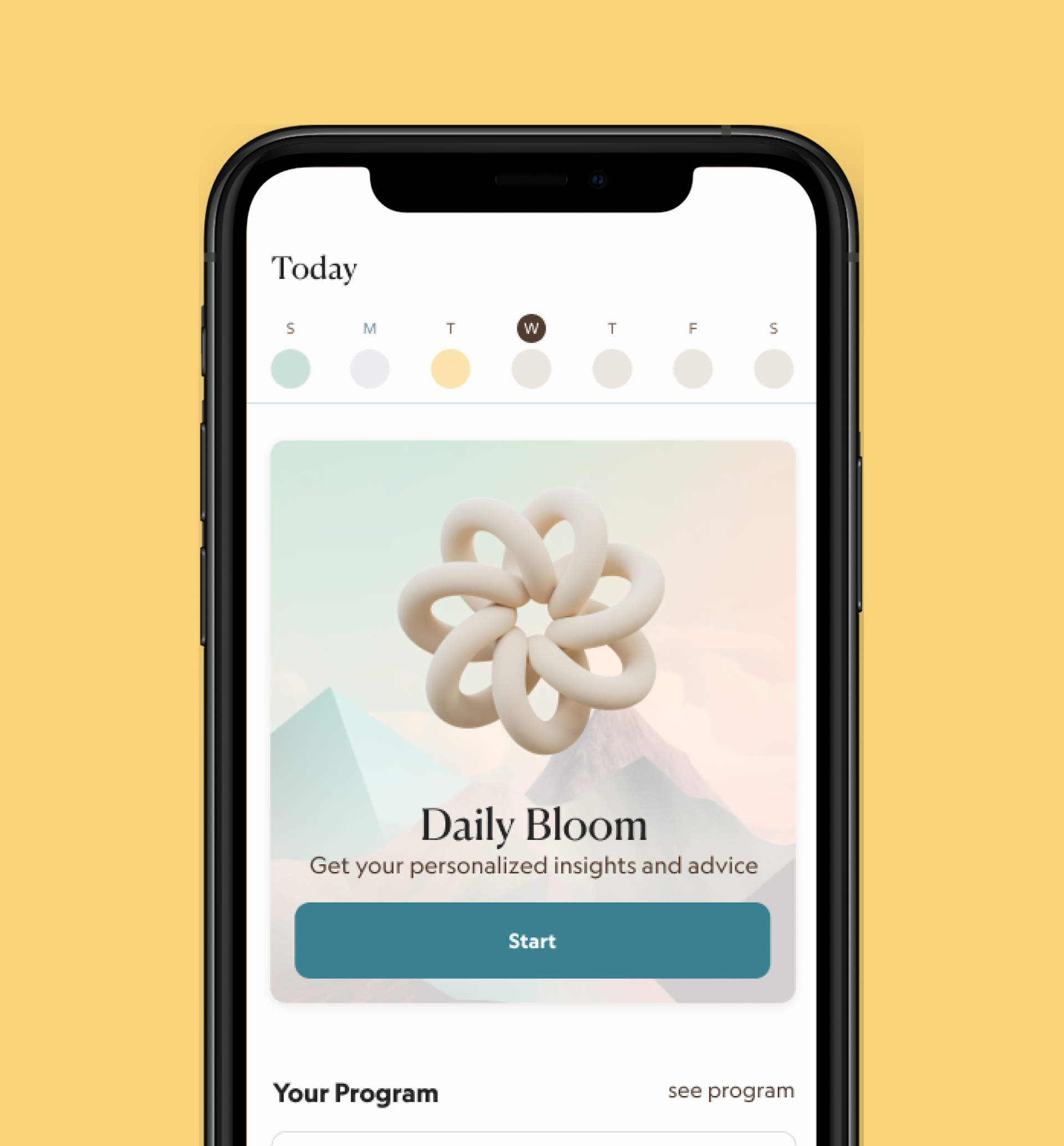 Designs we did for Bloom