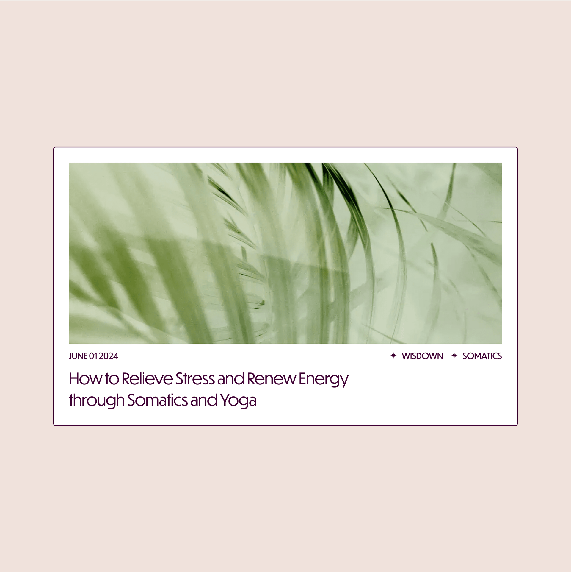 Somatic Design Somatic Living - UX Research, Strategy, Branding, UX/UI Design ...
